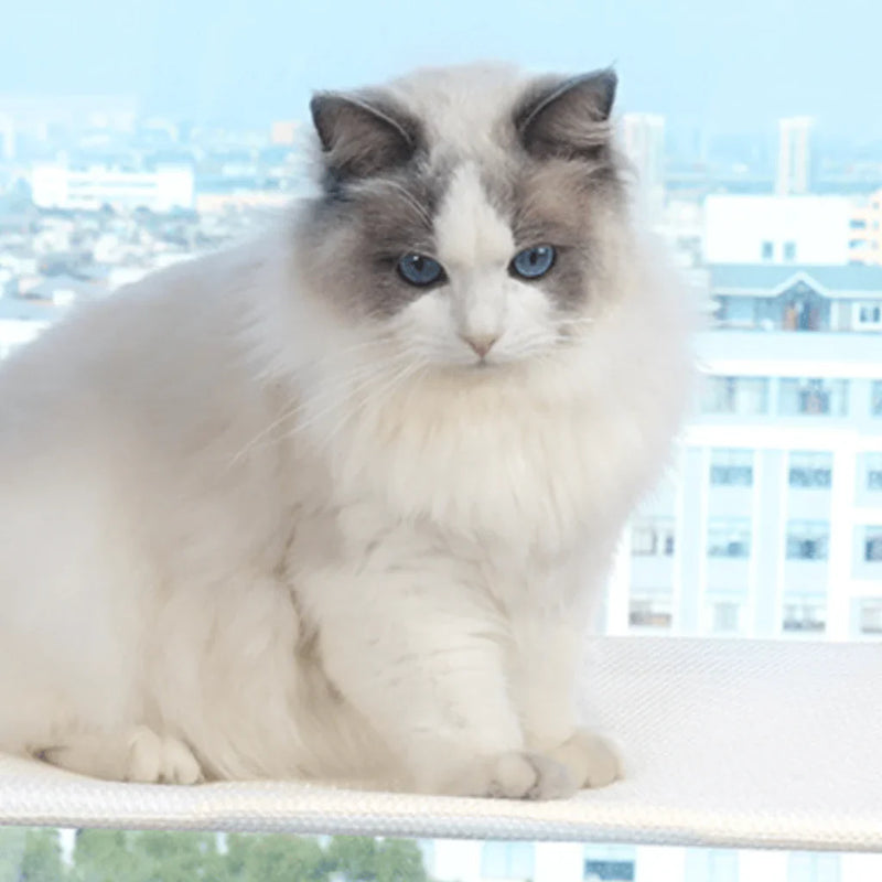 PurrNook – Foldbar Vindue kat-hængekøje med Let at rengøre cover  og sikker støtte