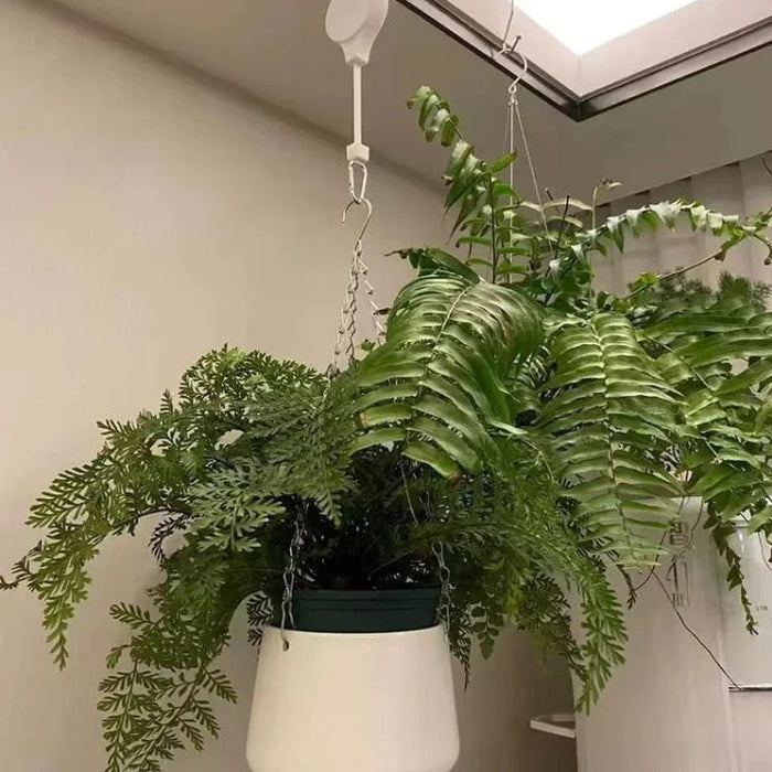 PlantLift – Innovativt planteophængningssystem med loftmontering