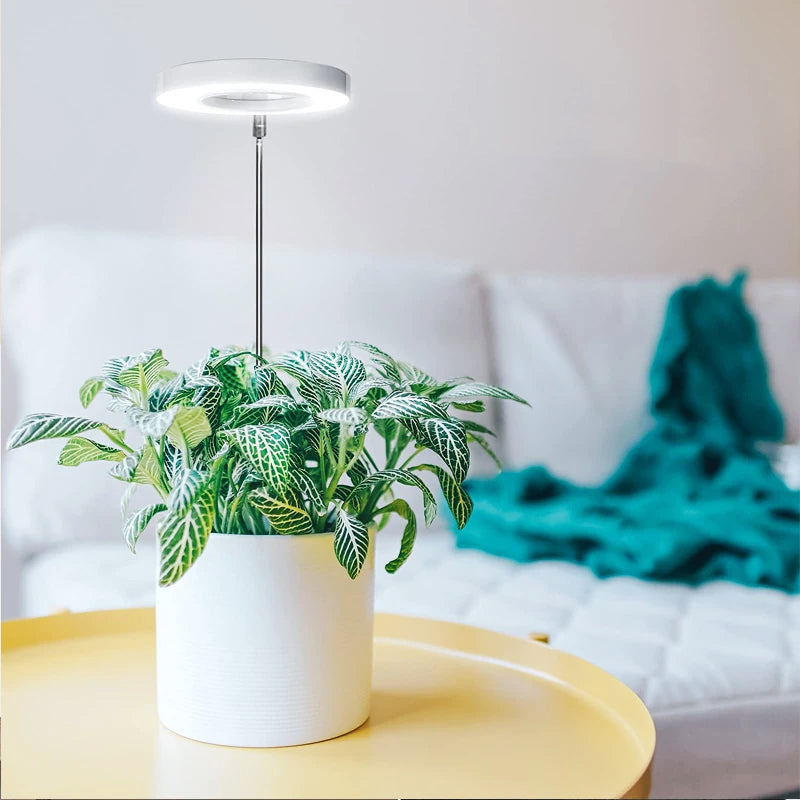 PlantGlow - Justerbar LED Grow Lampe til blomstrende indendørs planter