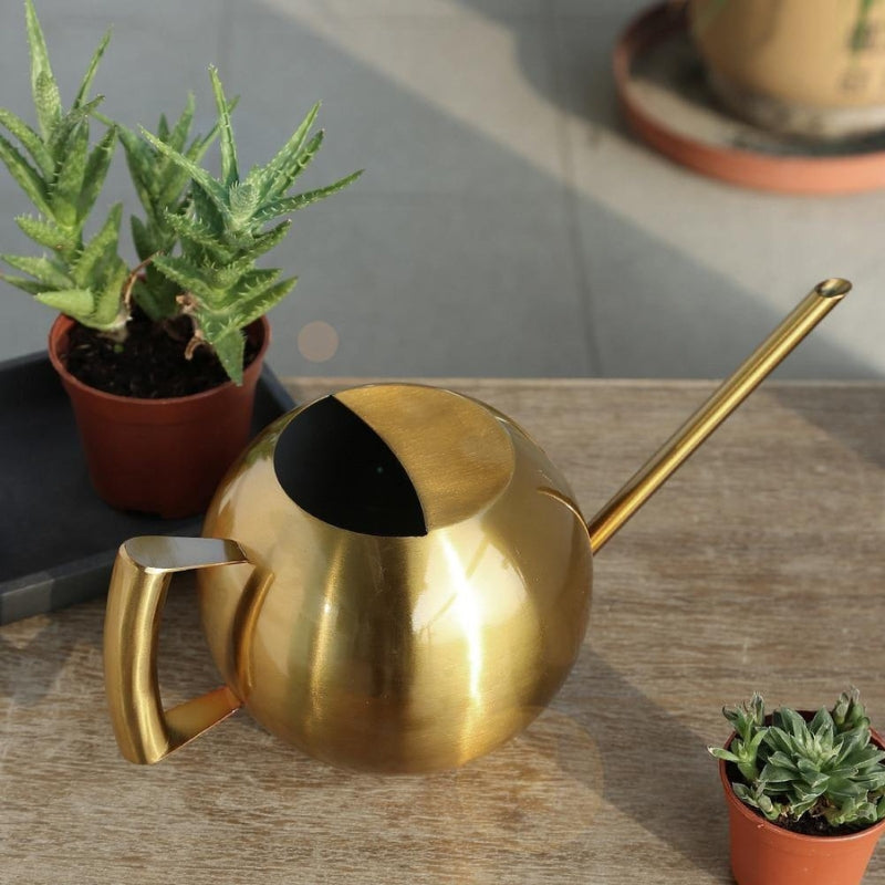 AquaFlow – Elegant indendørs vandkande til blomster og planter