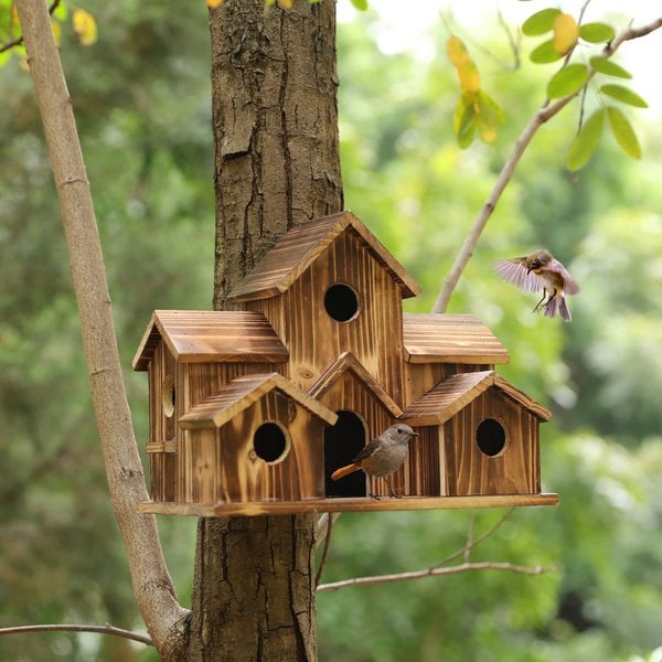 AviaryHaven – Håndlavet rustikt fuglehus i træ med seks indgange og naturlig finish