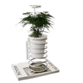 SpringNest – Dekorativ Blomsterkrukkeholder med Spiraldesign til Moderne Udstilling