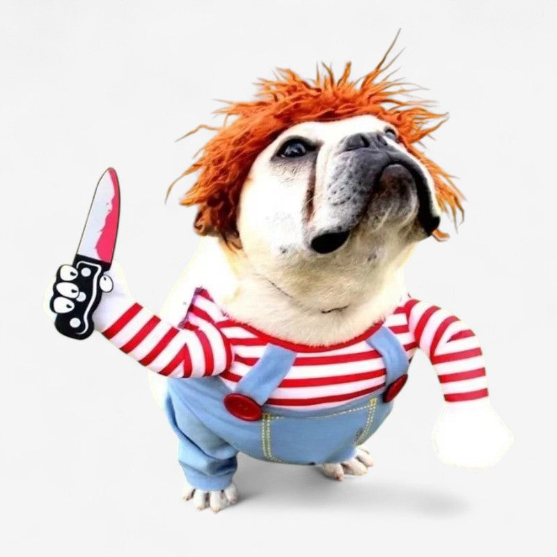 PetCharm – Kæledyrskostumesæt med hat