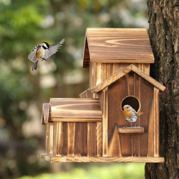 AviaryHaven – Håndlavet rustikt fuglehus i træ med seks indgange og naturlig finish