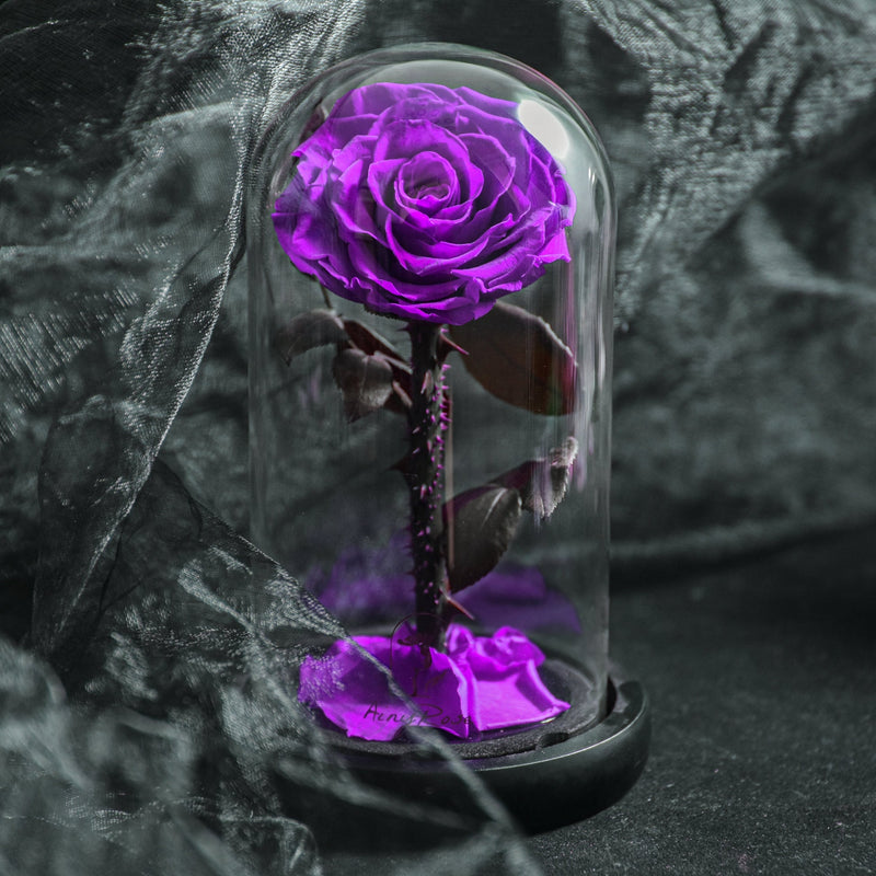 EternaBloom – Konserveret rose i glaskuppel med LED-belysning til romantisk dekoration og gave