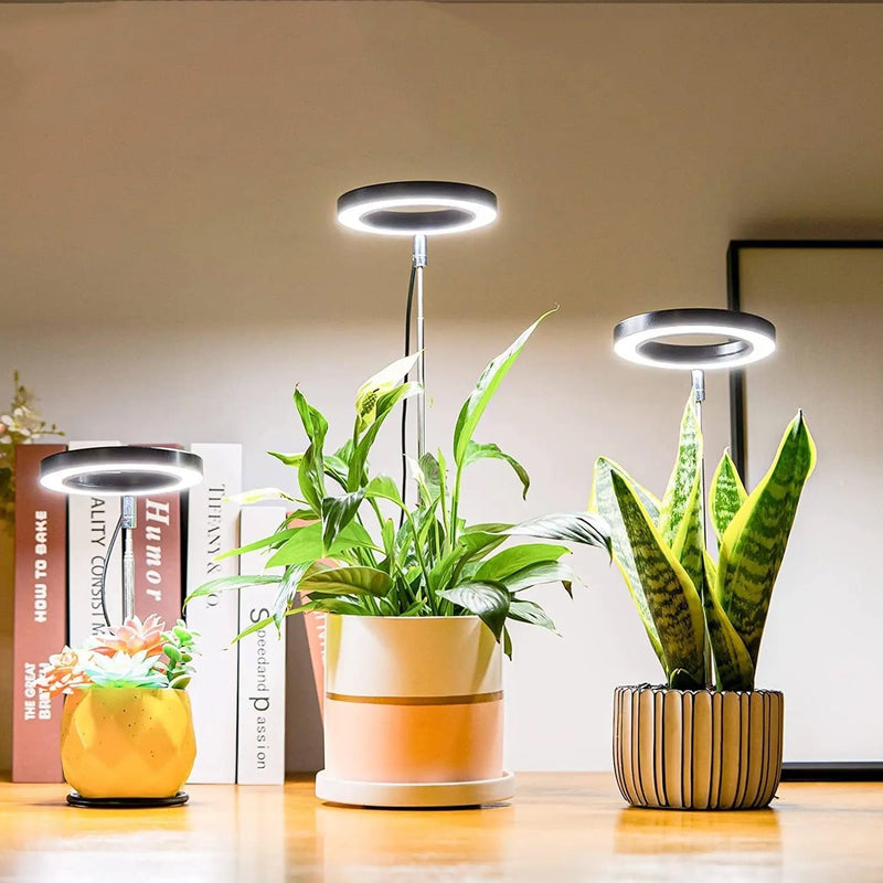 PlantGlow - Justerbar LED Grow Lampe til blomstrende indendørs planter