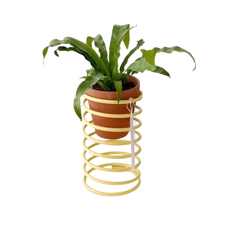 SpringNest – Dekorativ Blomsterkrukkeholder med Spiraldesign til Moderne Udstilling