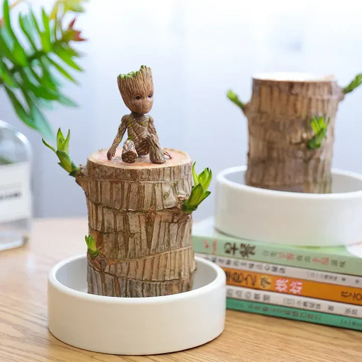 WoodlandNook – Mini-terrarium med frodige planter i en kompakt udstilling