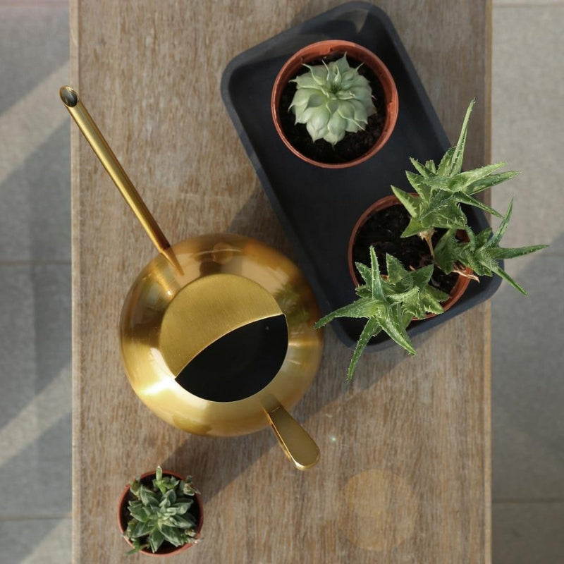 AquaFlow – Elegant indendørs vandkande til blomster og planter
