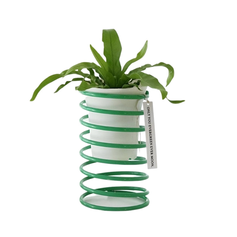 SpringNest – Dekorativ Blomsterkrukkeholder med Spiraldesign til Moderne Udstilling
