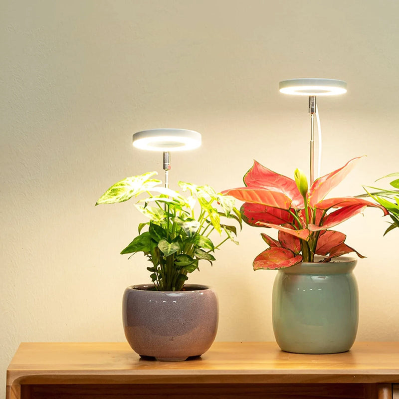 PlantGlow - Justerbar LED Grow Lampe til blomstrende indendørs planter