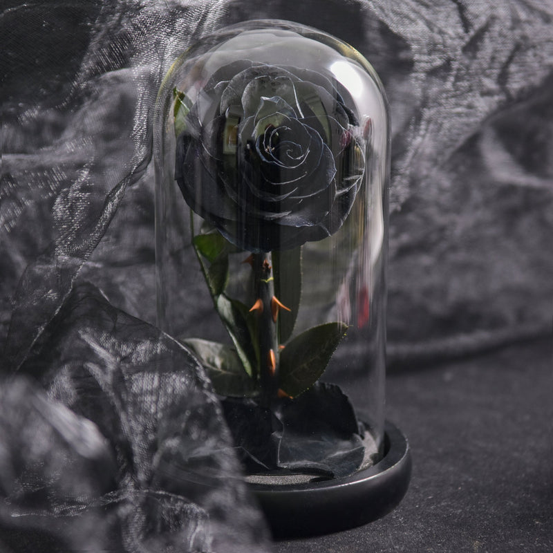 EternaBloom – Konserveret rose i glaskuppel med LED-belysning til romantisk dekoration og gave