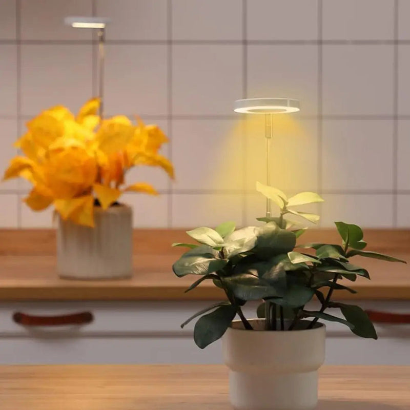 PlantGlow - Justerbar LED Grow Lampe til blomstrende indendørs planter