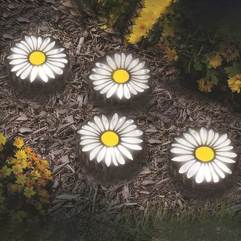 DaisyGlow – Solcelledrevne Udendørs Havel lyskæde med Margueritter