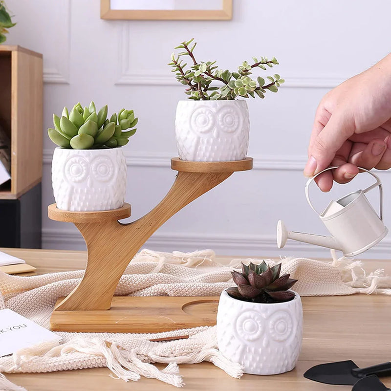 OwletNest – Planteholder i træ med dekorative uglepotter til indendørs brug
