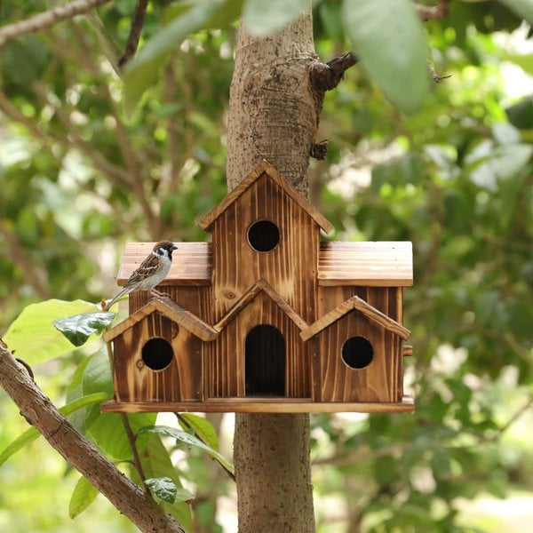 AviaryHaven – Håndlavet rustikt fuglehus i træ med seks indgange og naturlig finish
