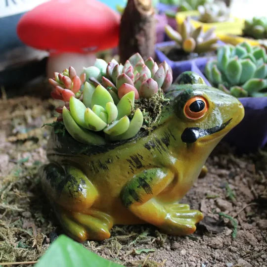 FrogHaven - Sød frog planter til indendørs og udendørs rum