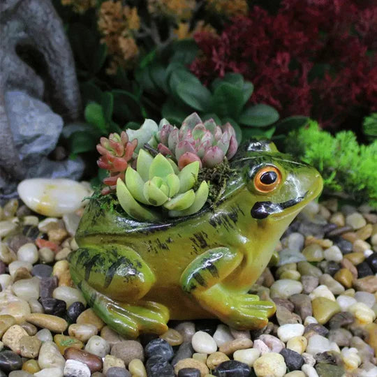 FrogHaven - Sød frog planter til indendørs og udendørs rum