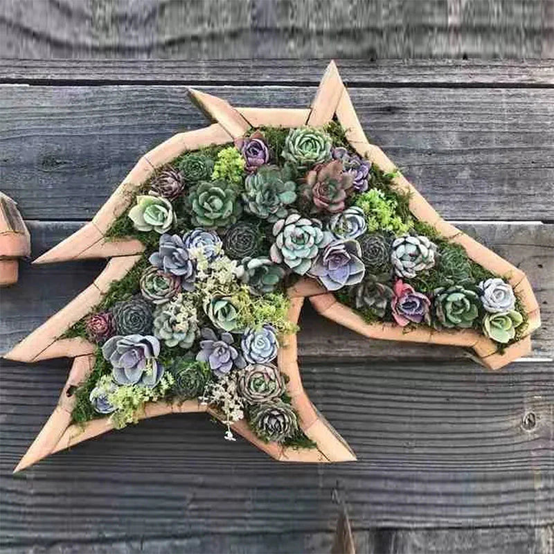NatureCraft – Dekorative figuriner med sukkulenter til indendørs og udendørs brug