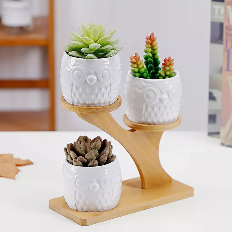 OwletNest – Planteholder i træ med dekorative uglepotter til indendørs brug
