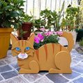 MeowGarden – Katteformede plantepotter til sukkulenter og små planter med legende charme