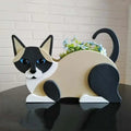 MeowGarden – Katteformede plantepotter til sukkulenter og små planter med legende charme