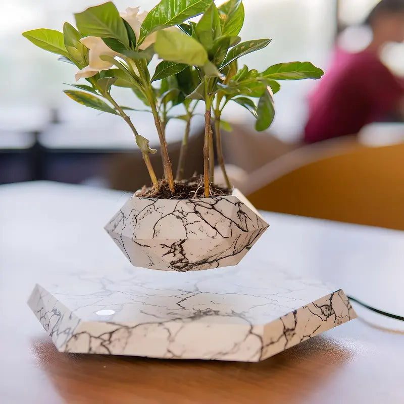 LevaBloom – Flydende Geometrisk Plantepotte med Roterende Base til Stilfuld Fremvisning