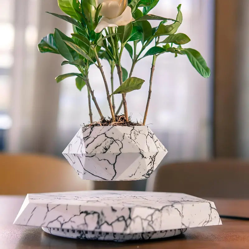 LevaBloom – Flydende Geometrisk Plantepotte med Roterende Base til Stilfuld Fremvisning