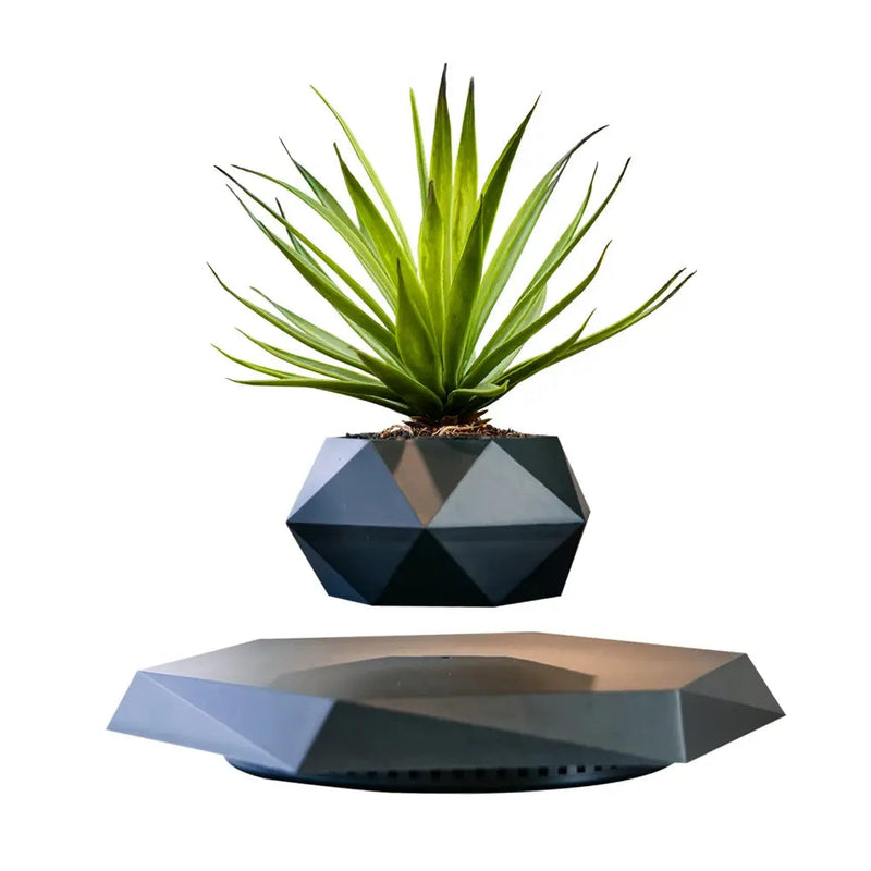 LevaBloom – Flydende Geometrisk Plantepotte med Roterende Base til Stilfuld Fremvisning