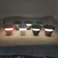MicroLume - Kompakt skrivebordslampe med klart LED-lys til alle rum