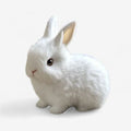 BunnyJoy - Batteridrevet Kaninlegetøj til Børn