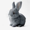 BunnyJoy - Batteridrevet Kaninlegetøj til Børn