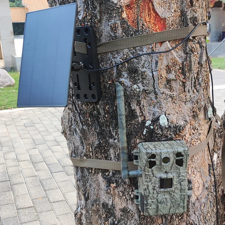 WildSnap – Solar-drevet 4G Wildlife-kamera med livestreaming og bevægelsesdetektion