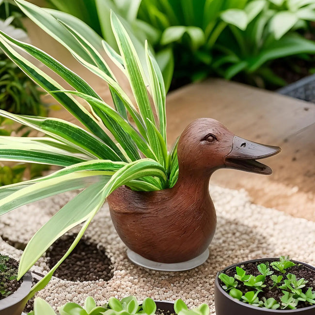 QuackNest - munter andestatue plantekasse til små planter