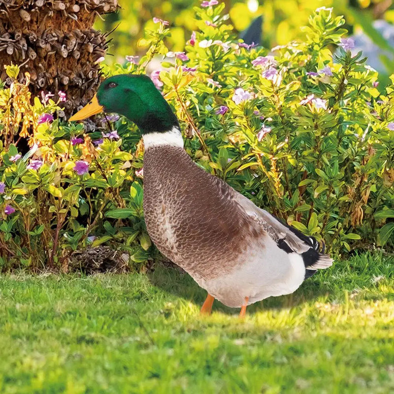 QuackCharm - Realistisk dobbeltsidet gråand-skulptur til haveindretning