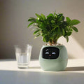 GrowPulse – Smart interaktiv plantepotte med AI-sensorer og animeret display