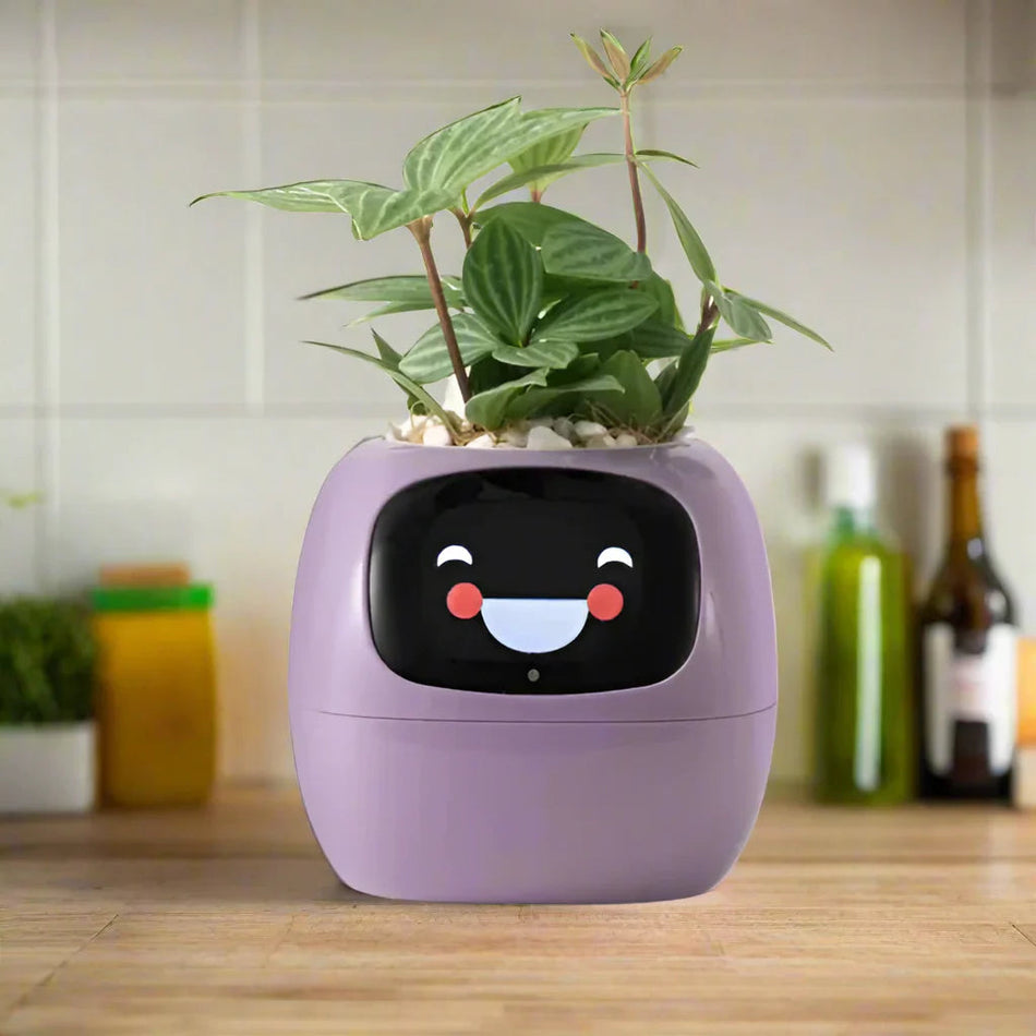 GrowPulse – Smart interaktiv plantepotte med AI-sensorer og animeret display
