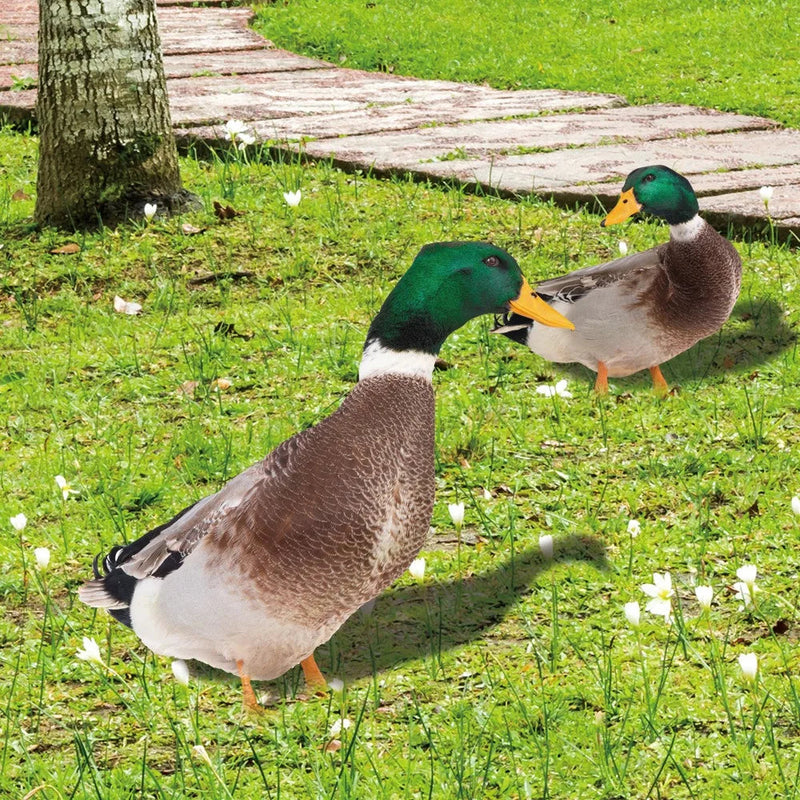 QuackCharm - Realistisk dobbeltsidet gråand-skulptur til haveindretning