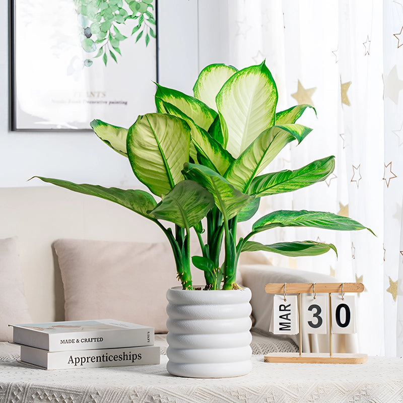 GreenNest – Elegant indendørs plantekasse til krydderurter, blomster og grønt