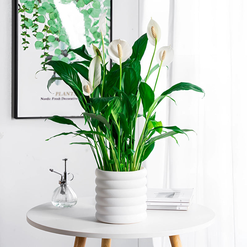 GreenNest – Elegant indendørs plantekasse til krydderurter, blomster og grønt