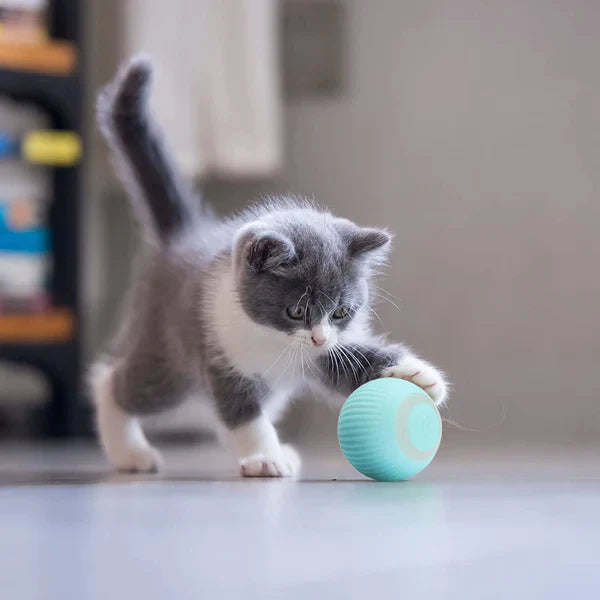 SpinBall – Interaktivt bevægelseslegetøj til katte med sensor til at undgå forhindringer