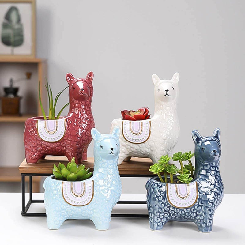AlpacaBloom – Dejlig alpaca-krukke til din indretning