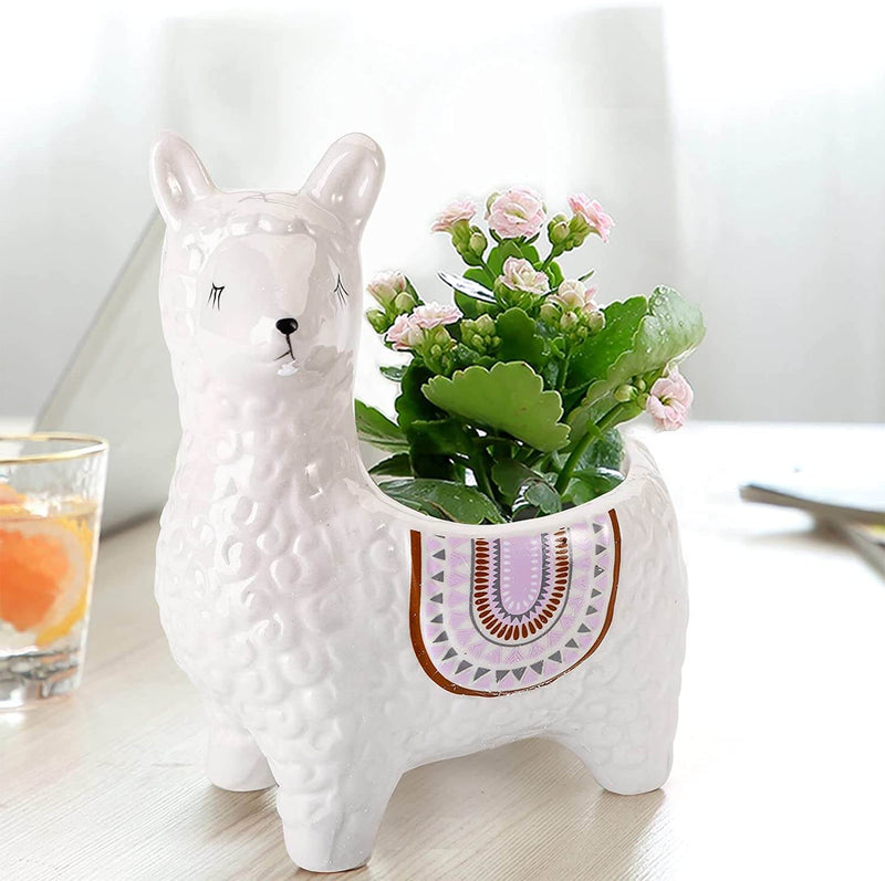 AlpacaBloom – Dejlig alpaca-krukke til din indretning