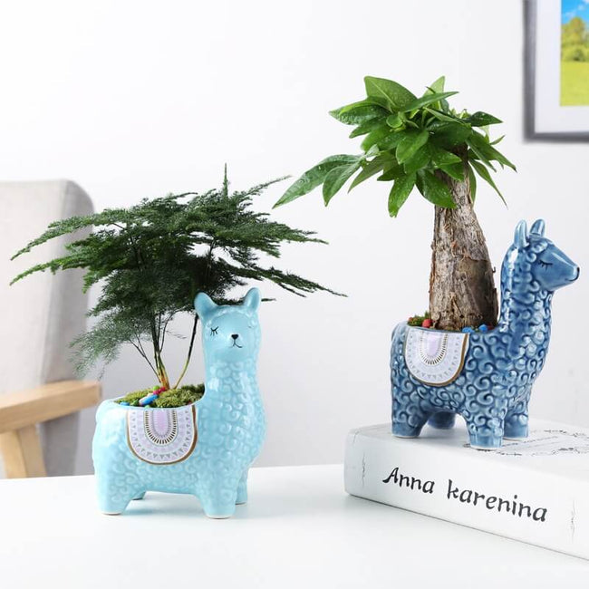 AlpacaBloom – Dejlig alpaca-krukke til din indretning