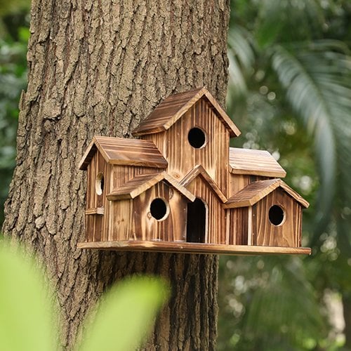 AviaryHaven – Håndlavet rustikt fuglehus i træ med seks indgange og naturlig finish