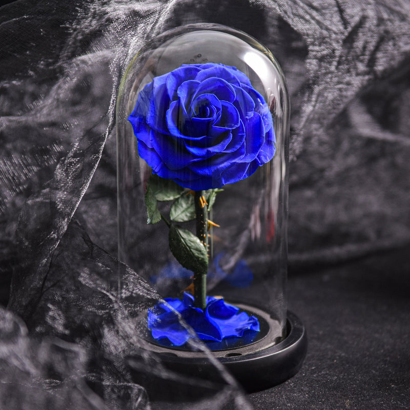EternaBloom – Konserveret rose i glaskuppel med LED-belysning til romantisk dekoration og gave