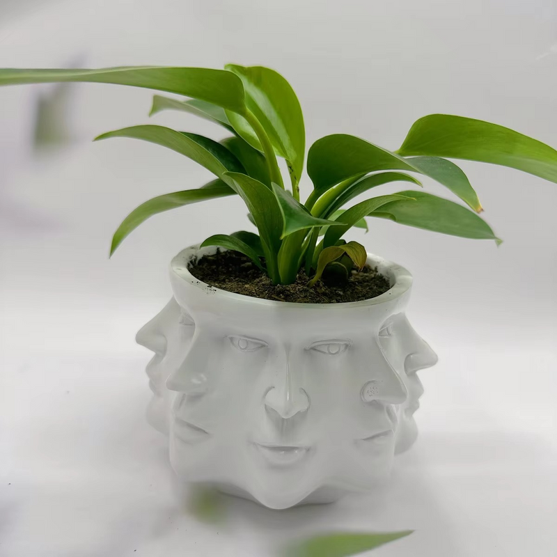 FaceBloom – Moderne 3D-ansigtsdesign-urtepotte til kunstneriske accenter