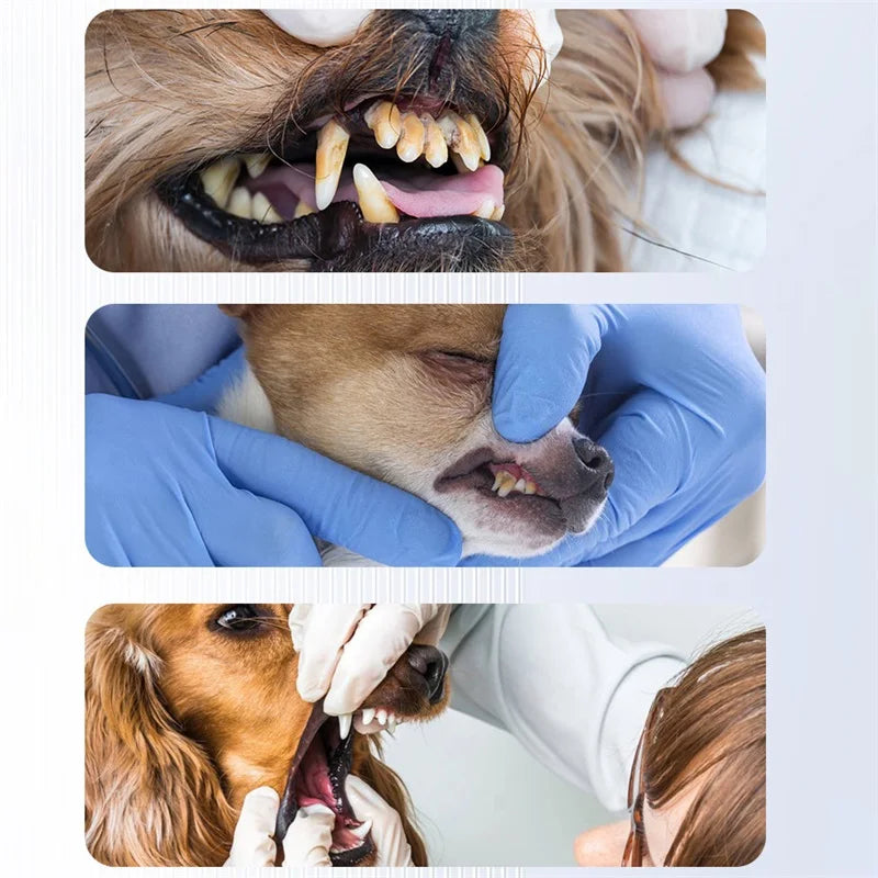 PureSpark – Komplet mundhygiejnesæt til hunde med justerbar intensitet
