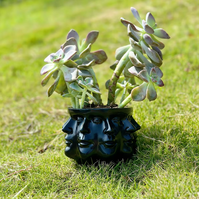 FaceBloom – Moderne 3D-ansigtsdesign-urtepotte til kunstneriske accenter