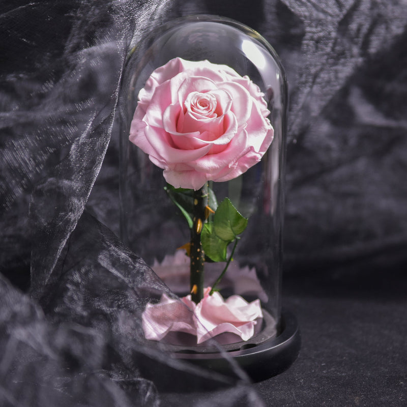 EternaBloom – Konserveret rose i glaskuppel med LED-belysning til romantisk dekoration og gave